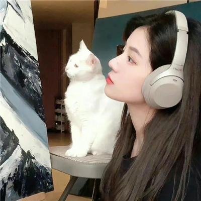 理查德的东西